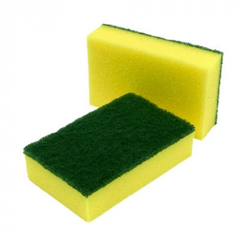 Scouring sponge