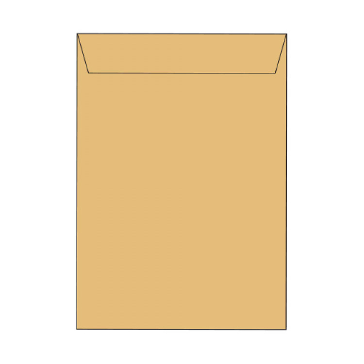 Envelope 324х457mm (C3), POCKET