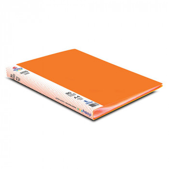 DISPLAY BOOK WITH 60 POCKETS