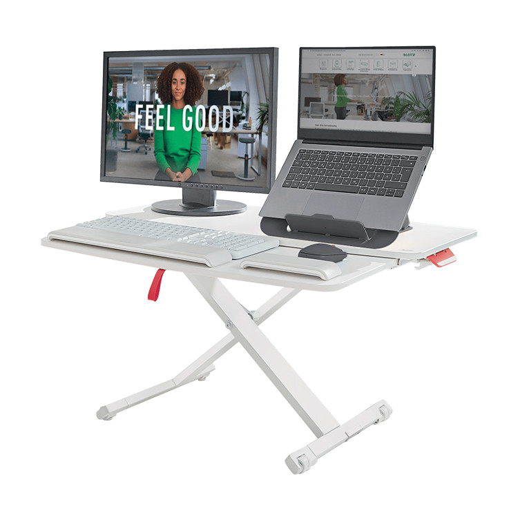 Ergo Cosy Standing Desk Converter