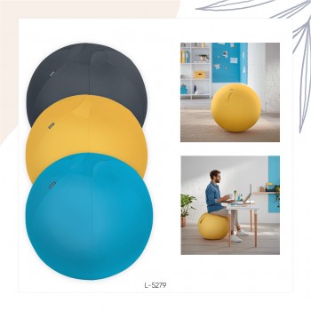 Ergo Cosy Active Sitting Ball