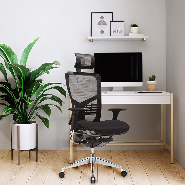 Канцелариска столица Тек и Про