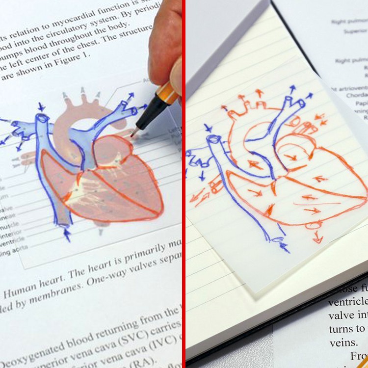 Самолепливи пвц ливчиња 75х75 транспарент 50л.