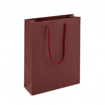 CARDBOARD BAG 155x210x60mm