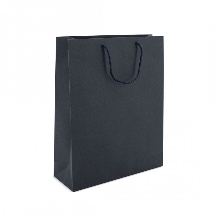 CARDBOARD BAG 270x360x90mm
