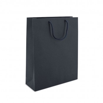 CARDBOARD BAG 270x360x90mm