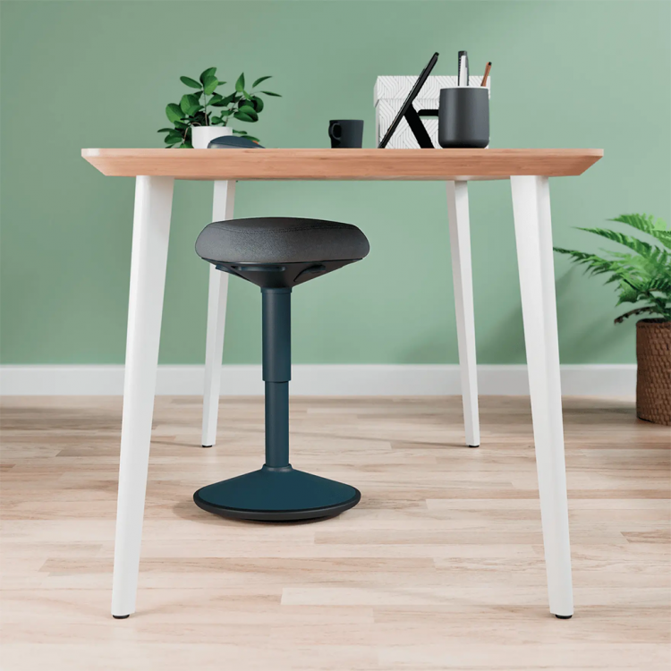 Leitz Ergo Active Sitting Stool