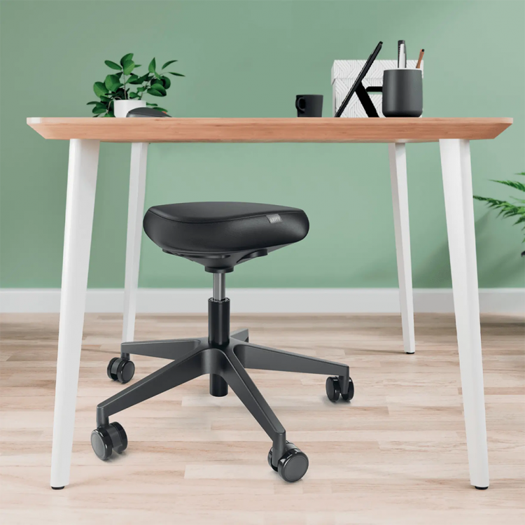 Leitz Ergo Sitting Stool