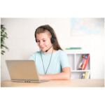 Classic USB-A Headset with Mic - Image 2