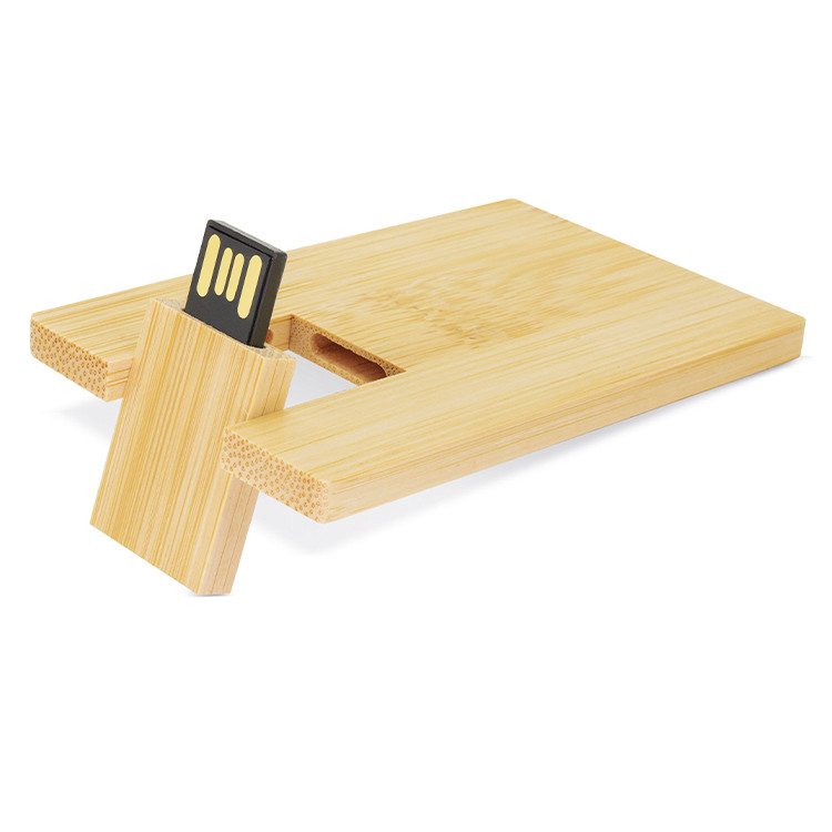 УСБ картица