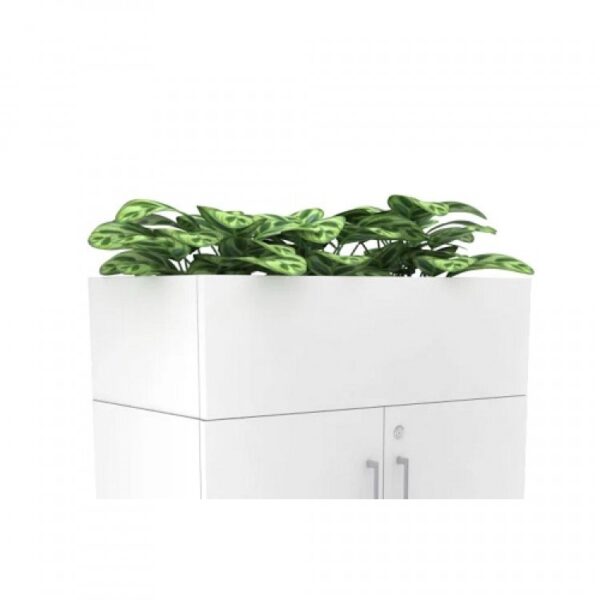 Полици отворена Boxi