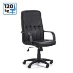 директорска столица