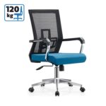 Director chair LUCCAS W