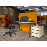 central locking mechanism