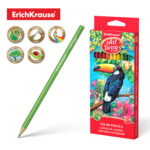 Triangular color pencils ArtBerry® 24 colors